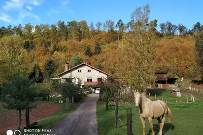 Image de gîte familial et spacieux en pleine forêt ideal randonnées au pays de bitche