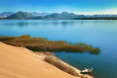 Image de Tous les nouveaux à l'intérieur, la récente rénovation totale. cour clôturée Paysager