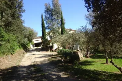 Image de Villa au calme dans la campagne provençale entre Hyères et St Tropez