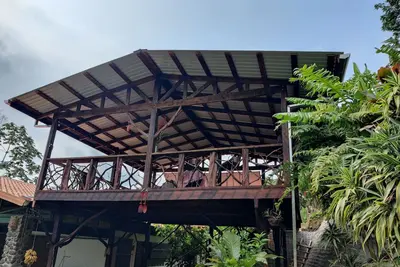Image de Petit déjeuner avec des toucans et des singes