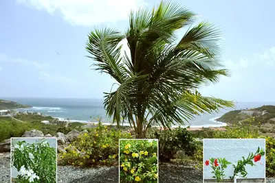 Image de Panoramic Ocean View Villa & St. Barth's: Estate Villa W / Private Pool *