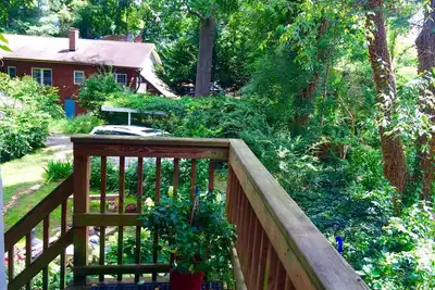 Image de Près de tout Asheville! Petite terrasse, sentiers boisés jusqu'à l'Unca, vue sur le jardin