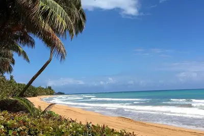 Image de Appartement Studio Rio Mar Cluster 2