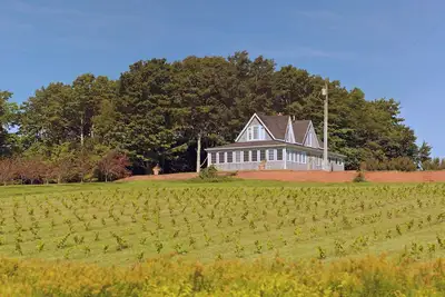 Image de Grande maison centenaire avec vignoble biologique. Très privé avec vue grandiose.