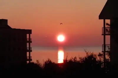 Image de RÉNOVÉ! Vue sur l'océan! Garanti Propre! !