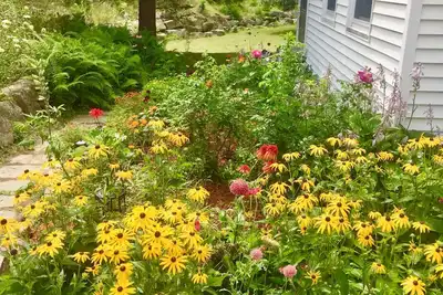 Image de Retraite À La Ferme dans le parc national ❤️ de l'Acadie / bleuets sauvages sur 3 acres!