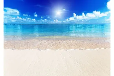 Image de Siesta Key Beach Emplacement IDÉAL Plage, Village, Piscine CHAUFFÉE