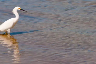 Image de Deux balcons au bord de l'eau! Grande plage de sable blanc Harbour Light Towers