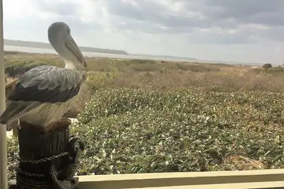 Image de Sur Pelican Beach! Villa au 1er étage, animaux acceptés, cartes d'agrément gratuites, superbes vues