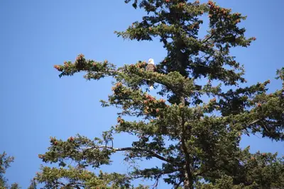 Image de Runner, Bikers, auteurs, amoureux de la nature - A la famille Maison de vacances pour vous
