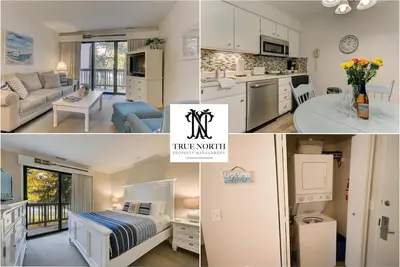 Image de ☀ Superbe Grand Beach Condo Front Traverse Bay