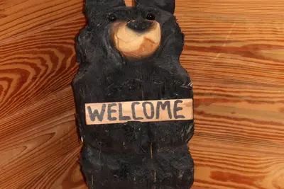 Image de Amusez-vous Ă la cabane! Pratique pour le lac Keowee et Clemson