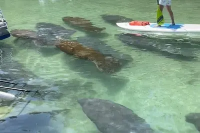 Image de Petite maison sur la rivière - directement sur la rivière, pas de canal, comprend les kayaks / canoë