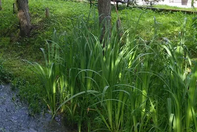 Image de Au fil de l'eau en Perigord