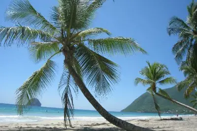 Image de Le Paradis de Yoyo. . .