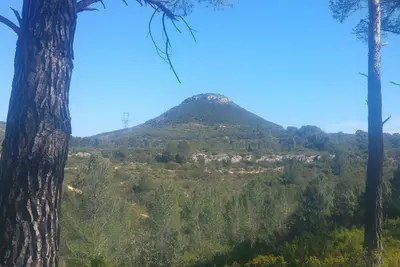 Image de Appartement situe en plein sud très ensoleille avec piscine et parking prive