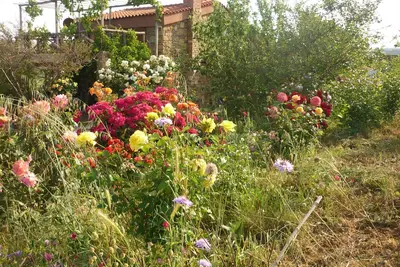 Image de Cottage ferme. .