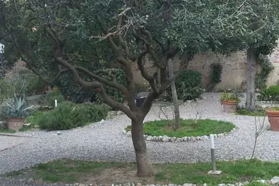 Image de Belle maison à Villa Liberty