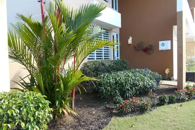 Image de Maison privée de 4 chambres, piscine, près de la plage et de la forêt tropicale!