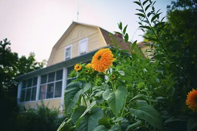 Image de Ferme idyllique entièrement restaurée des années 1890: