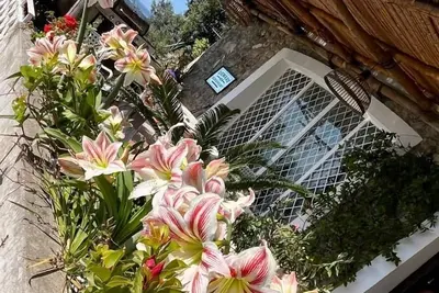 Image de Star Fish House - Votre maison en Côte amalfitaine