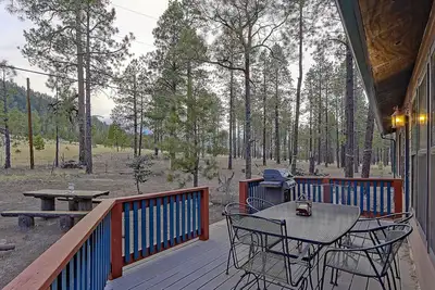 Image de Feuilles d'automne, air frais et frais! Les enfants adorent notre tyrolienne! Parfait pour les familles!