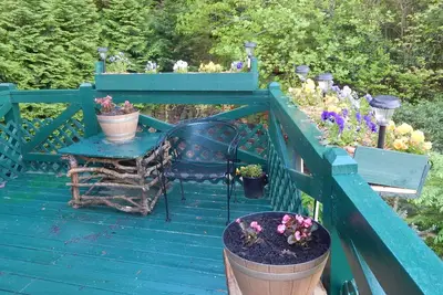 Image de Williebear Cabin Screamer Mountain