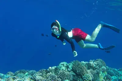 Image de Sugar Beach Resort-Luxury Oceanview!