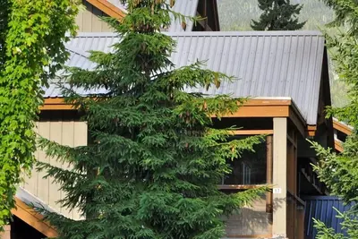 Image de Détendez-vous dans les glaciers Reach à Whistler avec bain à remous privé et parking gratuit