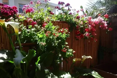 Image de Appartement Orosei pour 4 personnes, deux chambres, grand jardin