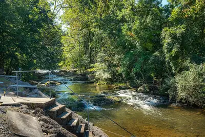 Image de Charmant cottage juste sur Cosby Creek! Profitez de la cascade du porche!
