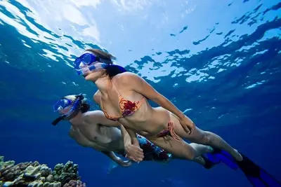 Image de Offre de dernière minute à 145 $ (Wifi gratuit)