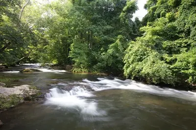 Image de Real Log Cabin - Trout Stream - PÊCHE À La PROPRIÉTÉ - 25 Minutes À Gatlinburg