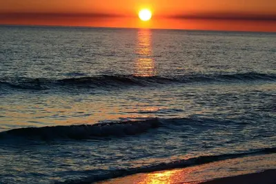 Image de Le secret le mieux gardé de l'île d'Okaloosa