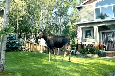 Image de 5 * Haut de gamme PRIVÉ - Cuisine - King-WiFi - Câble - W / D - 10 min Aéroport