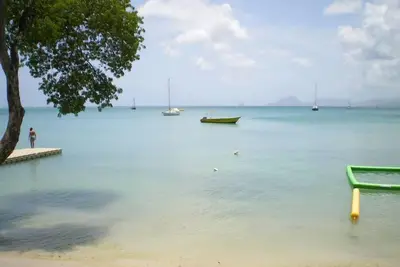 Image de Studio for Tropical Escape