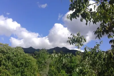 Image de 45 minutes de Porto! Ferme au calme dans les montagnes! À quelques minutes du Douro