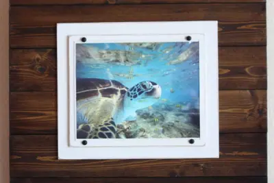 Image de Meilleure Vue Sur L'Ocean! ! En Train De Charley Young Beach REMODELÉ