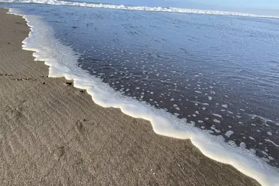 Image de Charmante maison de plain-pied à Rio Del Mar Beach, à côté du terrain de golf Seascape