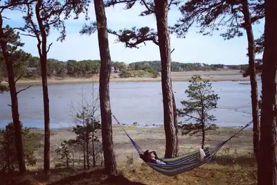 Image de Magnifique Waterfront Cottage Ă Wellfleet, Cape Cod