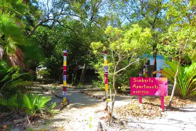 Image de Expérience de la jungle dans un cadre moderne à Maya Beach