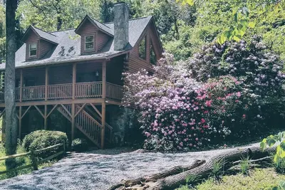 Image de Belle cabine Acorn, Dog-Friendly, 10 min de Asheville