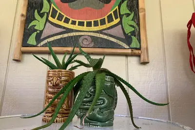 Image de Hau'oli Place - votre endroit heureux!