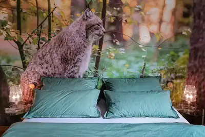 Image de Appartement de vacances élégant avec charme \"Harzer\" moderne avec sauna et bain