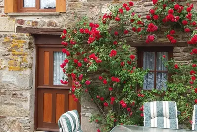 Image de Rose gite Le Cosquer St Connec