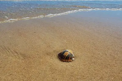 Image de Situation privilégiée à proximité des plages de l'Algarve.