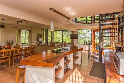 Image de Tropical Retreat incroyable pleine de singes, des paresseux, toucans et beaucoup plus