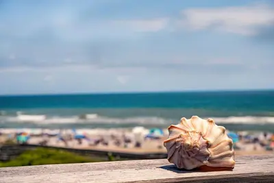 Image de 1 lit / 1 salle de bain ~ Condo au premier étage face à l'océan ~ Ascenseur ~ 1302 Queens Court
