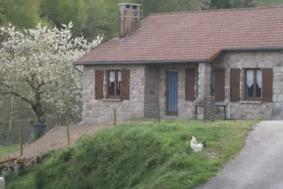 Image de Hou. . . La Chouette Maison