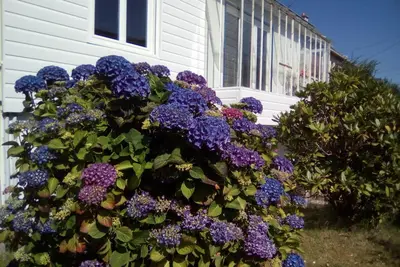 Image de maison proche commerces, petit echo de la mode étang 5 ha 15 mn de la mer, rando
